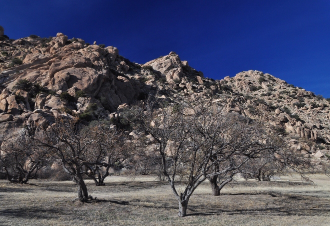 Texas Canyon